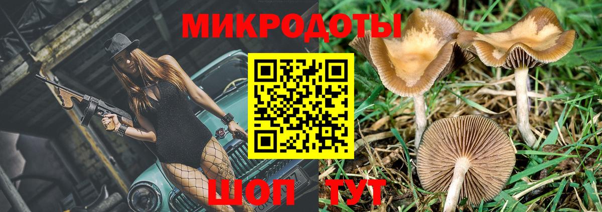 Горячий Ключ  Псилоцибиновые грибы GOLDEN TEACHER  купить наркотики сайты  Вход с VPN 