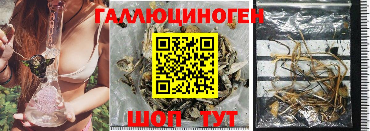 Галлюциногенные грибы GOLDEN TEACHER Горячий Ключ